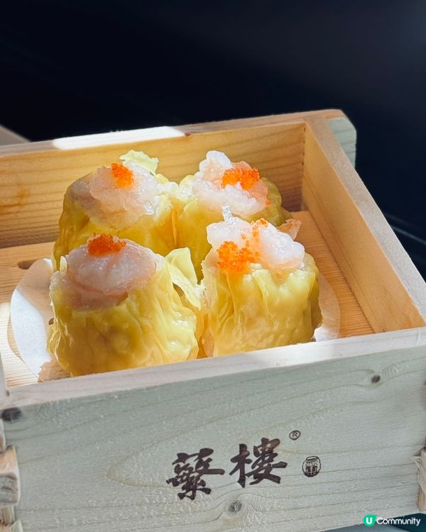 蘩樓飲茶七連冠🏆！帶埋屋企人去嘆！😋