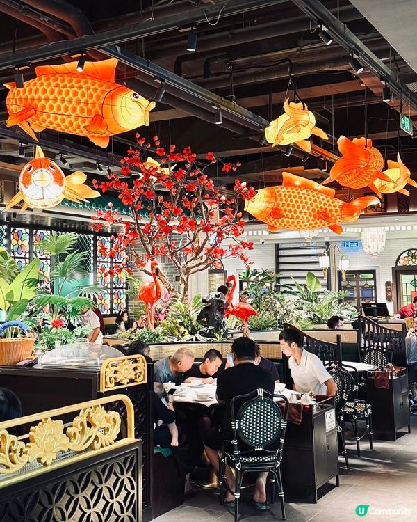 蘩樓飲茶七連冠🏆！帶埋屋企人去嘆！😋