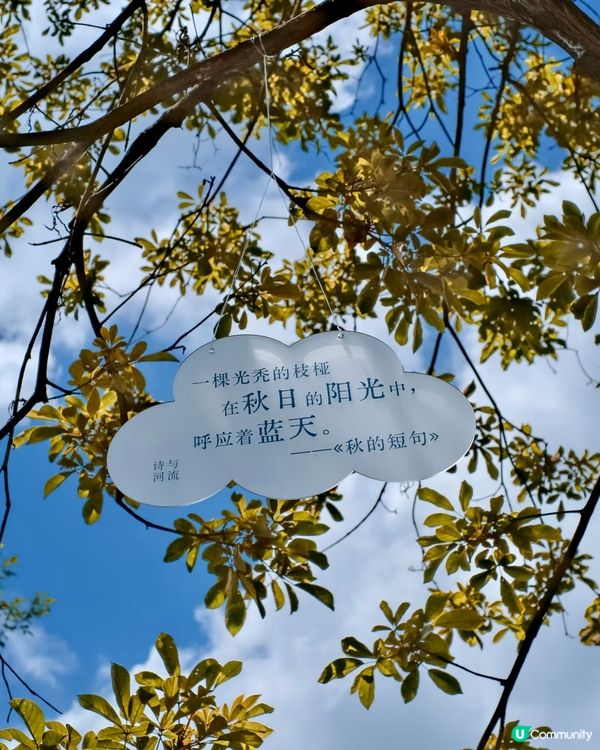 深圳0元好去處玩轉中秋節🍂🥳