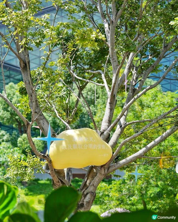 深圳0元好去處玩轉中秋節🍂🥳