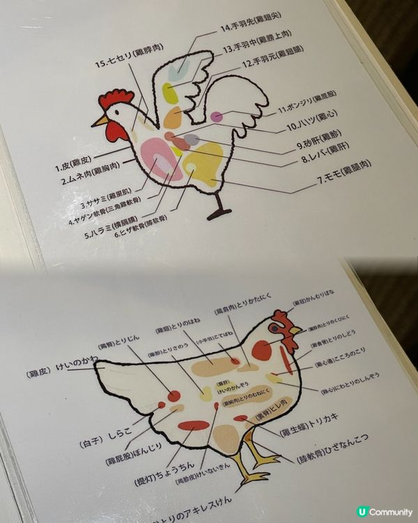 銅鑼灣超高質鳥熟成居酒屋🍺🇯🇵