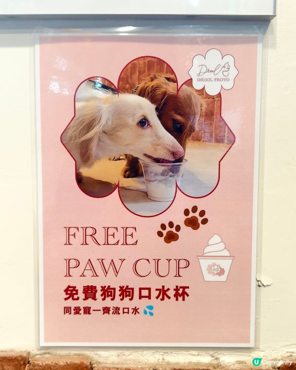 健康乳酪雪糕杯