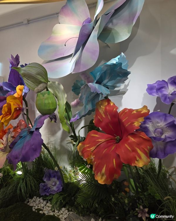 澳門篇：不要忘掉大三巴