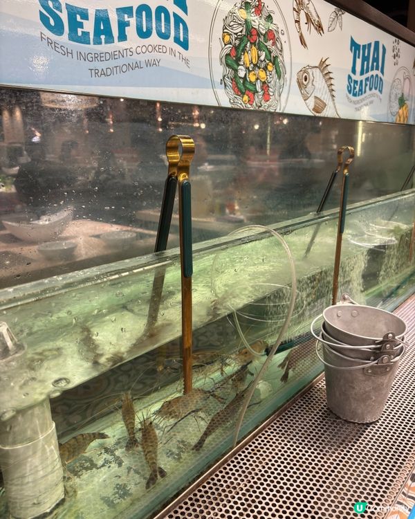 旺角泰金鍋🔥牛魔王放題！任食美國牛🐂+流水蝦🦐！😋