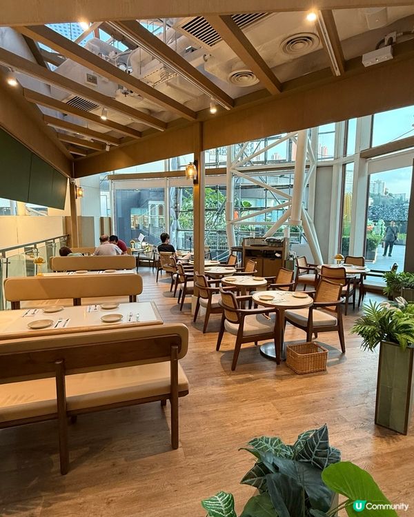 葵芳爆紅西餐！木系打卡📸！必食牛扒😋！