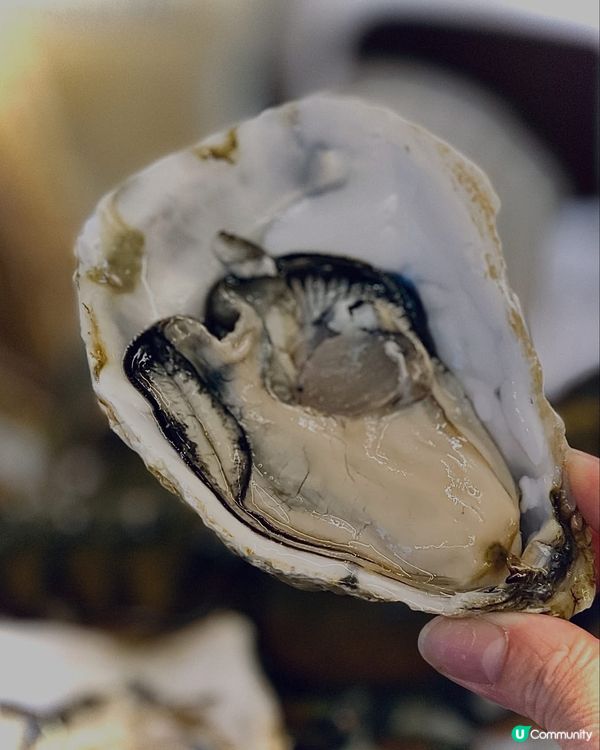 自己海鮮自己夾，今餐新鮮到爆丫😍