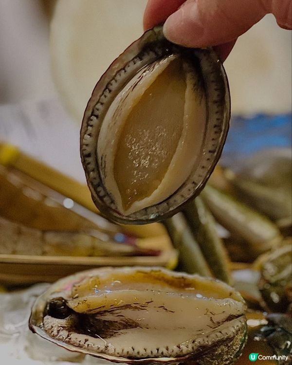 自己海鮮自己夾，今餐新鮮到爆丫😍