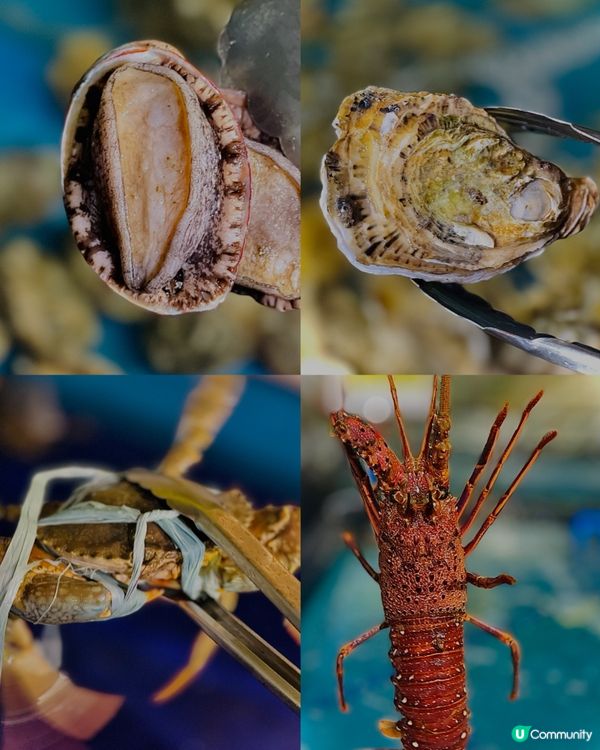 自己海鮮自己夾，今餐新鮮到爆丫😍