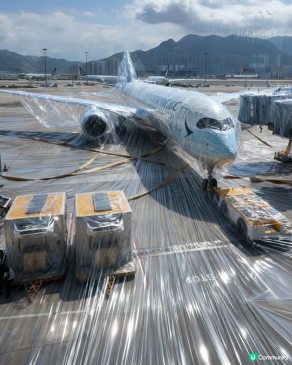 香港AI藝術家超逼真作品  全城嚴陣以待超級颱風樺加沙