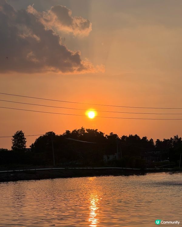 回鄉之旅🩷🚄