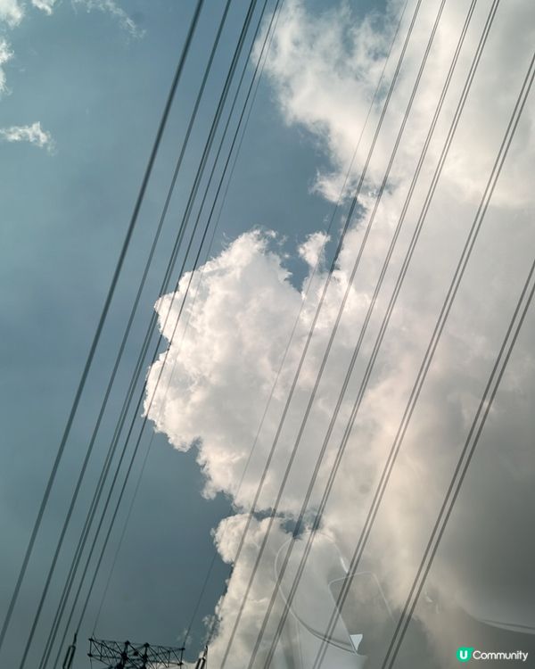 回鄉之旅🩷🚄