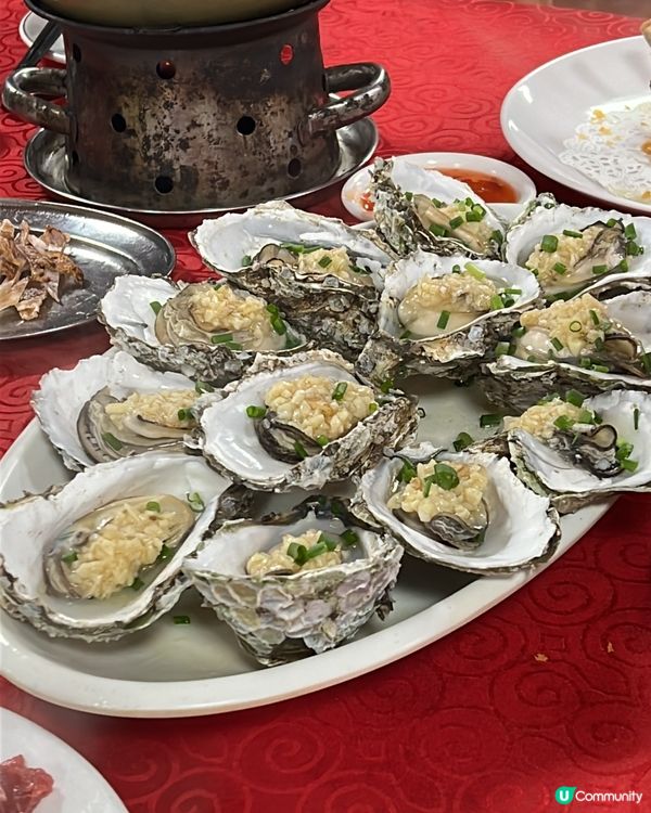 回鄉之旅🩷🚄