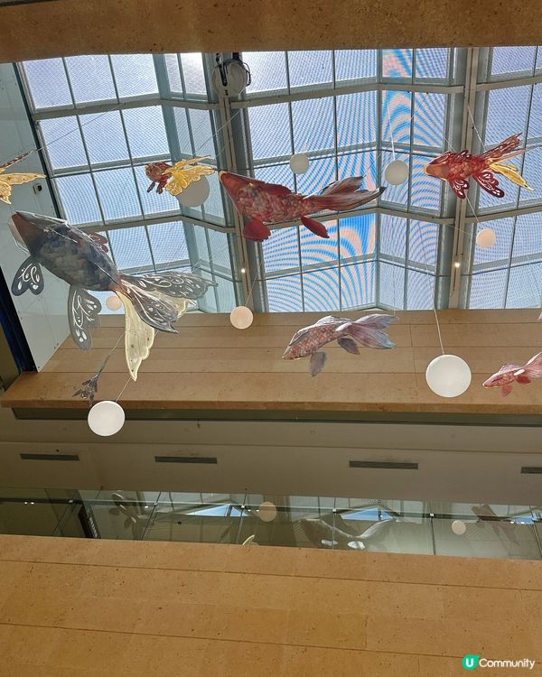 港珠澳口岸天地遊記！🌈 舒服到爆！🤩