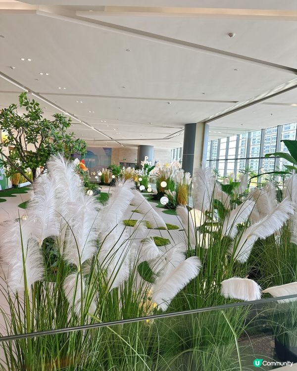 港珠澳口岸天地遊記！🌈 舒服到爆！🤩