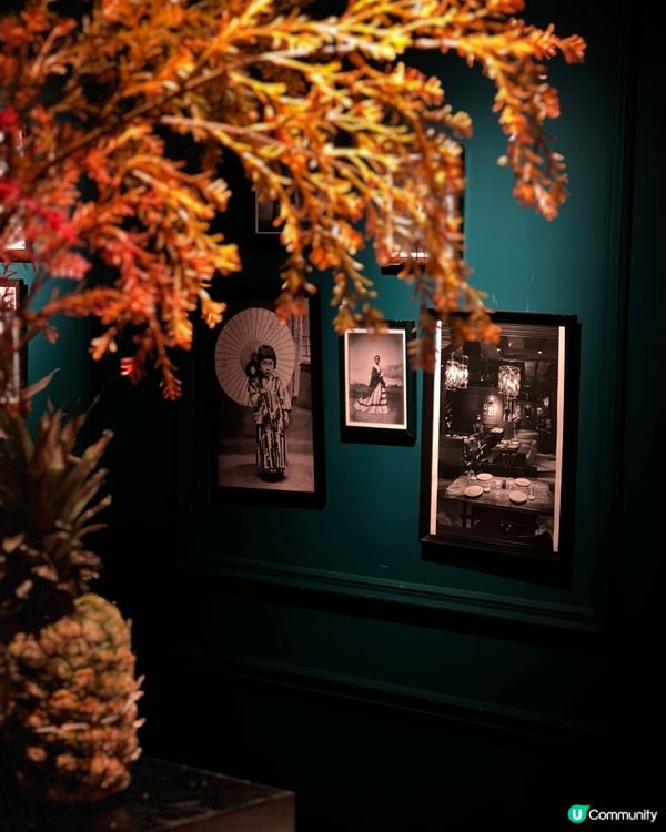 中環抵食日本X秘魯菜午市自助餐！😋🍣