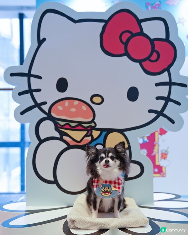 ﾐ・◦・ﾐ🎀 ♡𝓗𝓮𝓵𝓵𝓸 𝓴𝓲𝓽𝓽𝔂 ♡