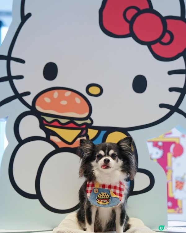 ﾐ・◦・ﾐ🎀 ♡𝓗𝓮𝓵𝓵𝓸 𝓴𝓲𝓽𝓽𝔂 ♡