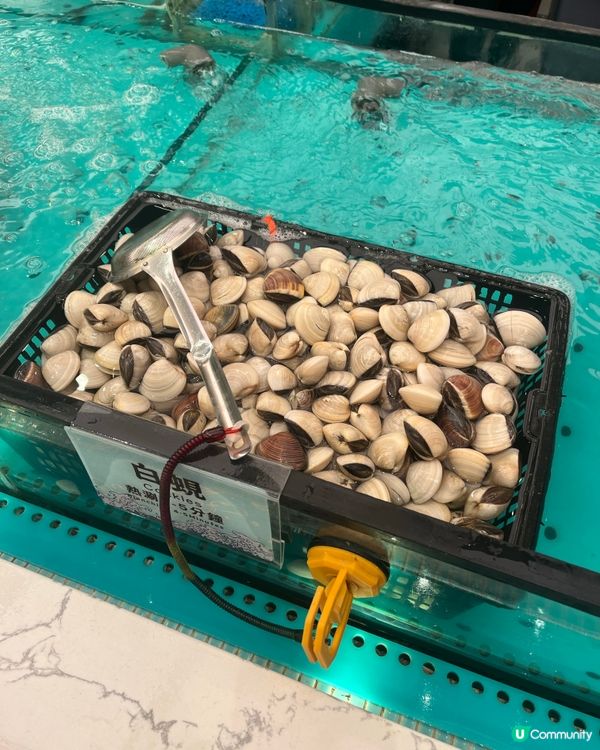 海鮮放題新體驗！🦀任撈任食無限量供應🤤