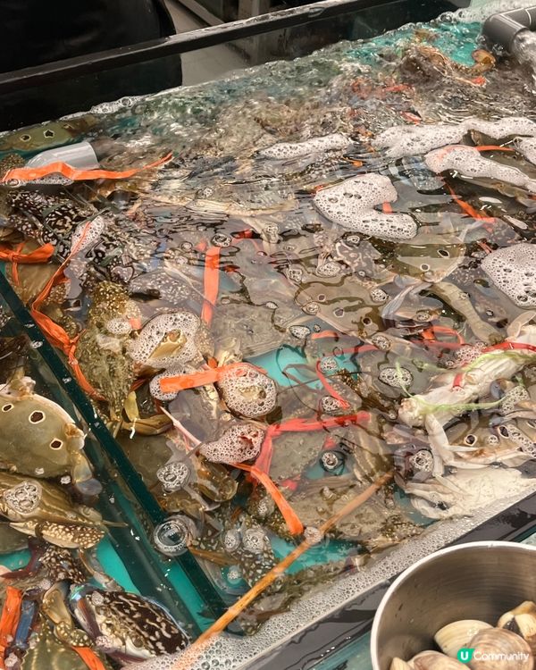 海鮮放題新體驗！🦀任撈任食無限量供應🤤