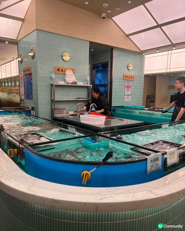 海鮮放題新體驗！🦀任撈任食無限量供應🤤