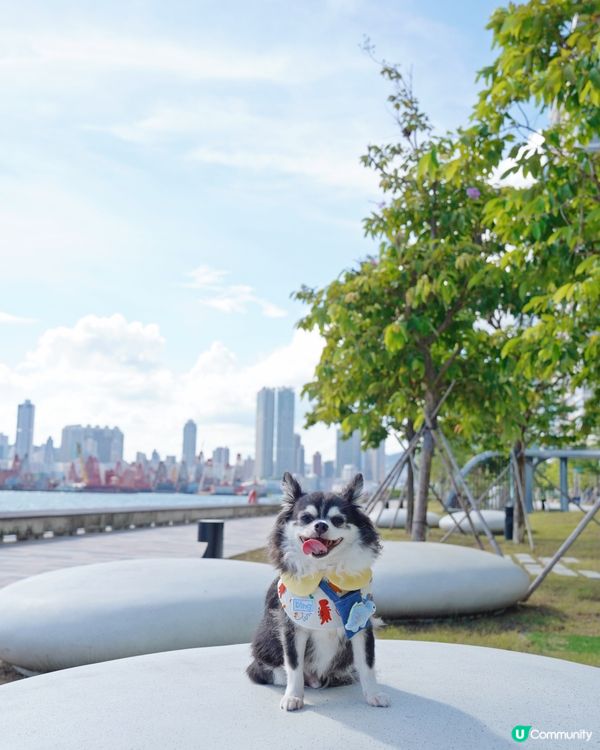 盼望好天氣🌤️