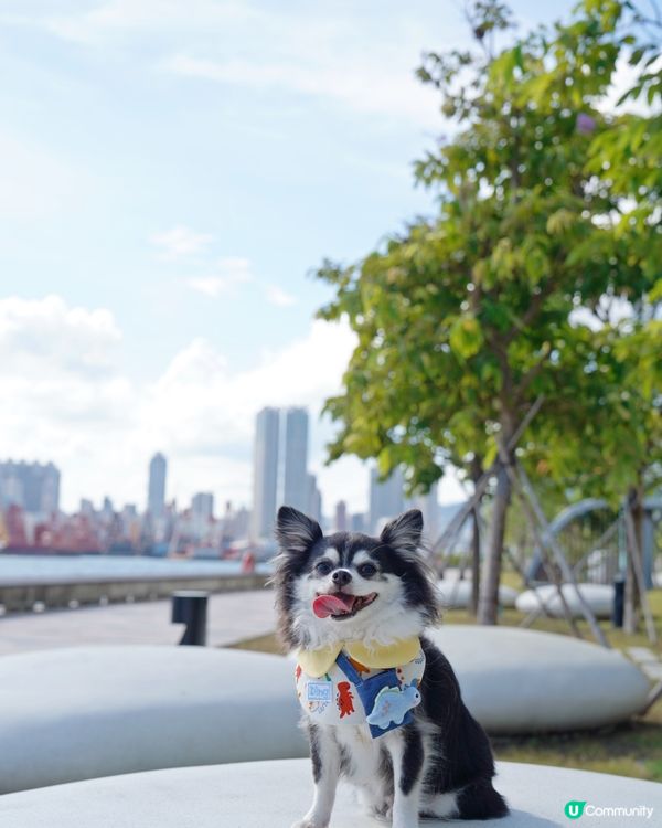 盼望好天氣🌤️