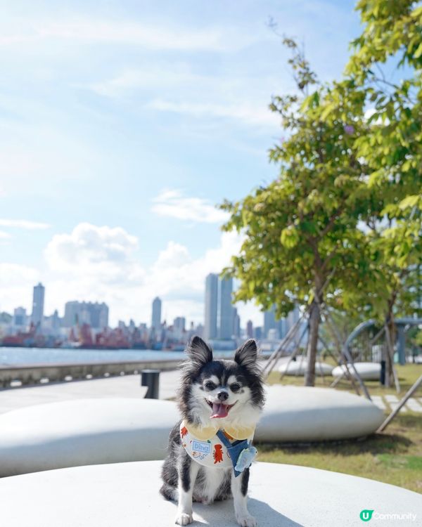 盼望好天氣🌤️