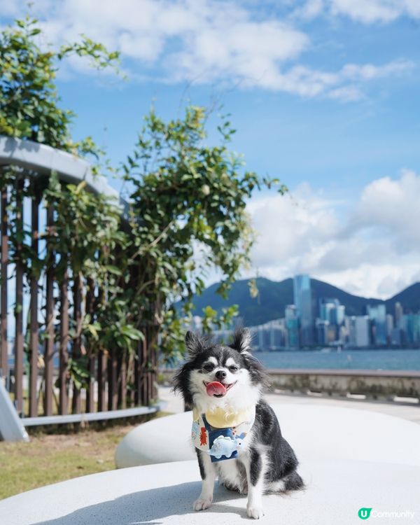 盼望好天氣🌤️