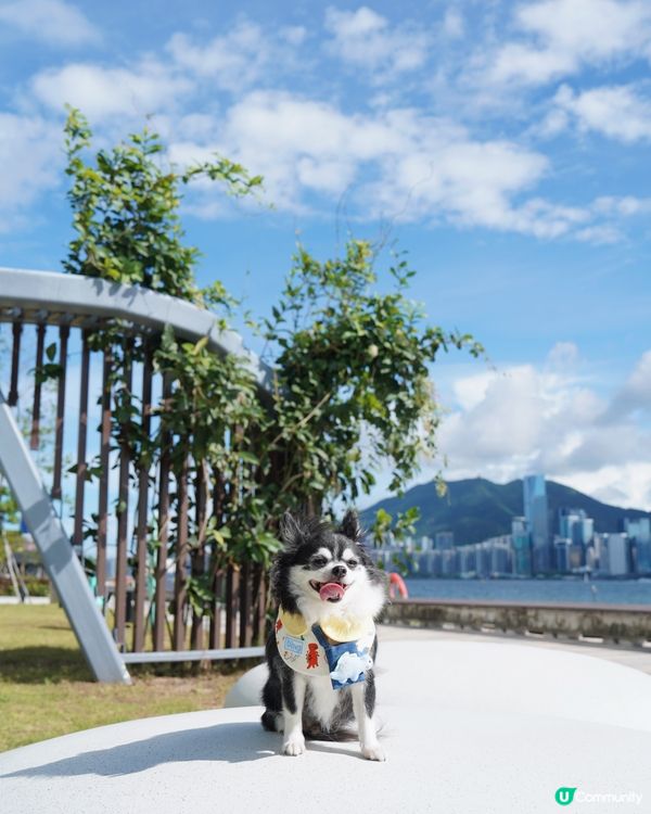 盼望好天氣🌤️