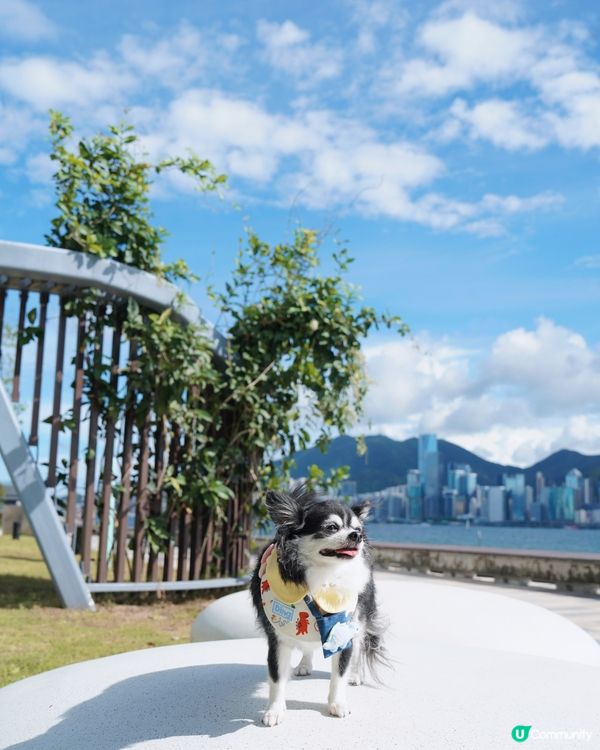 盼望好天氣🌤️