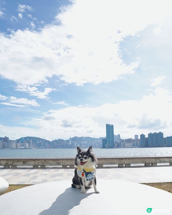 盼望好天氣🌤️