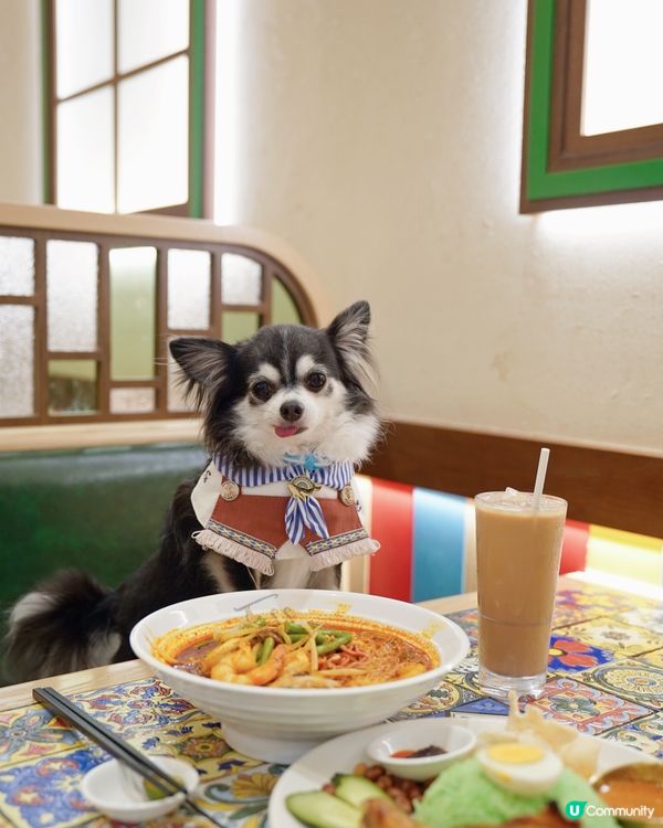 黎到沙田食馬來西亞🇲🇾菜🍴