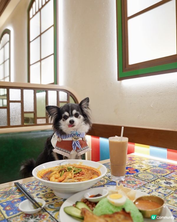 黎到沙田食馬來西亞🇲🇾菜🍴