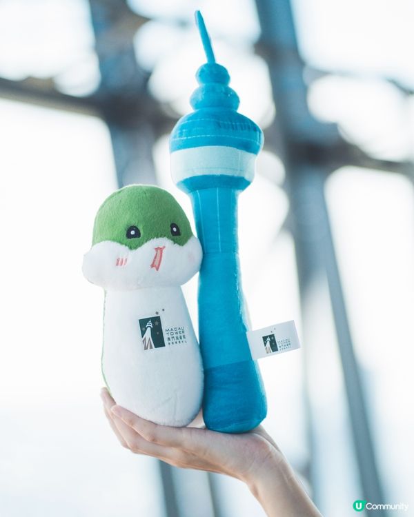 澳門一天遊（澳門旅遊塔+觀嘗煙花）