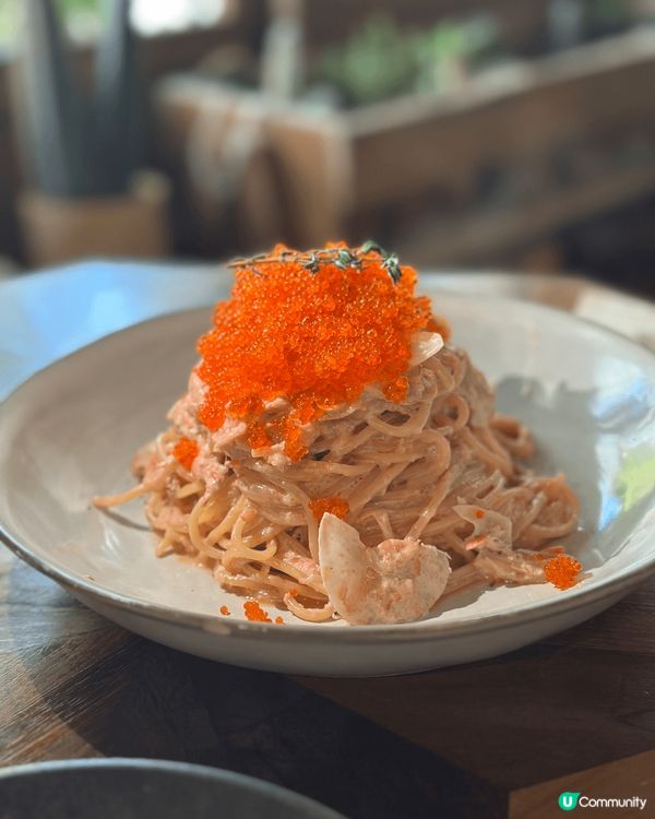 1. 有誠意既黃銅鍋米線，小食蝦膠釀豆腐卜好有臭豆腐口感