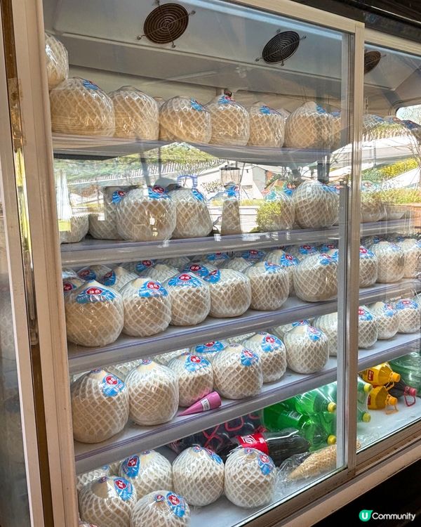 🎀深圳。城市出逃計畫 體驗輕奢露營🎀