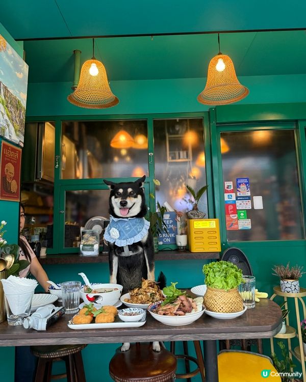 泰國pet friendly 餐廳🦀🍜🥭😋