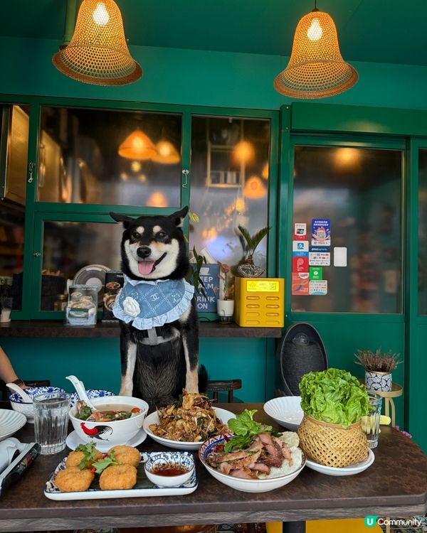 泰國pet friendly 餐廳🦀🍜🥭😋