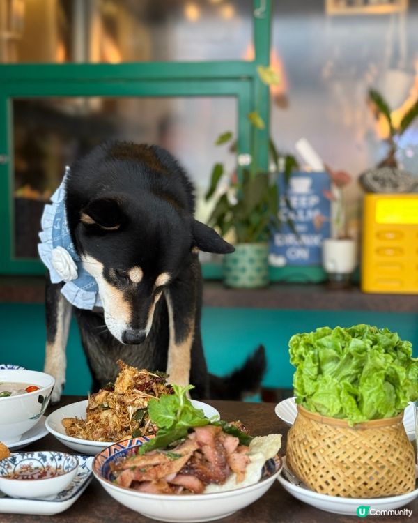泰國pet friendly 餐廳🦀🍜🥭😋