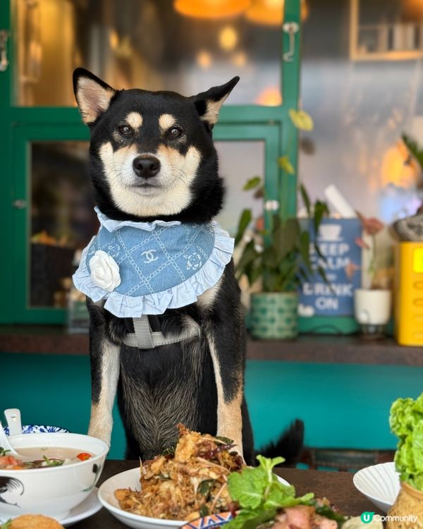 泰國pet friendly 餐廳🦀🍜🥭😋