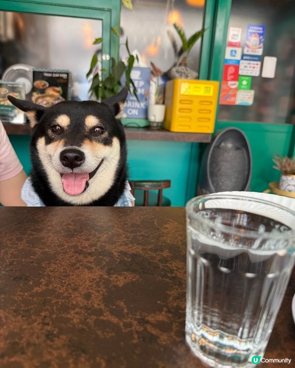 泰國pet friendly 餐廳🦀🍜🥭😋