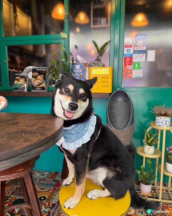 泰國pet friendly 餐廳🦀🍜🥭😋