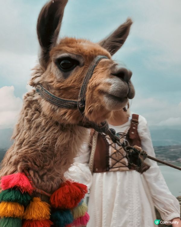 秘魯 天空之城 馬丘比丘&懸崖酒店