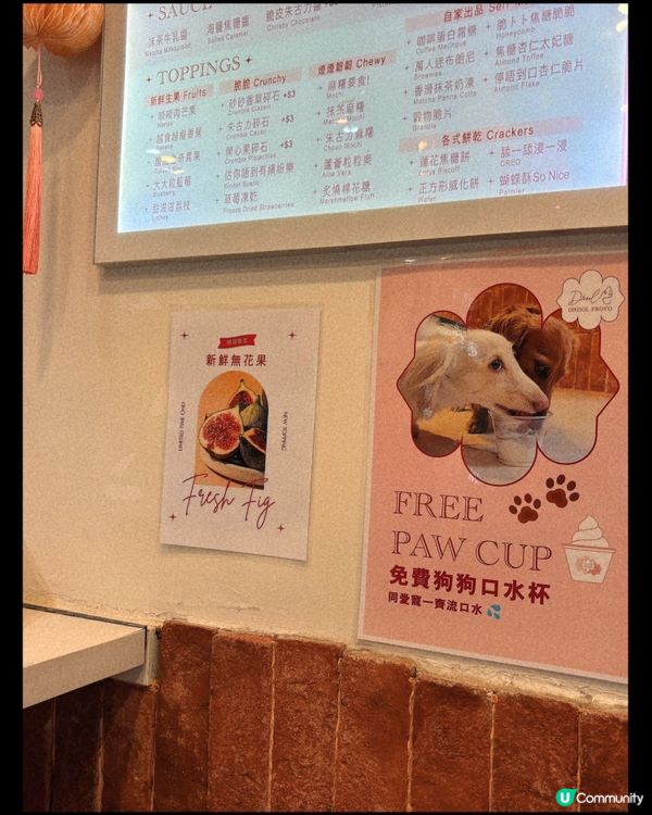 🎀天后｡網紅低卡特色乳酪雪糕🍦🎀