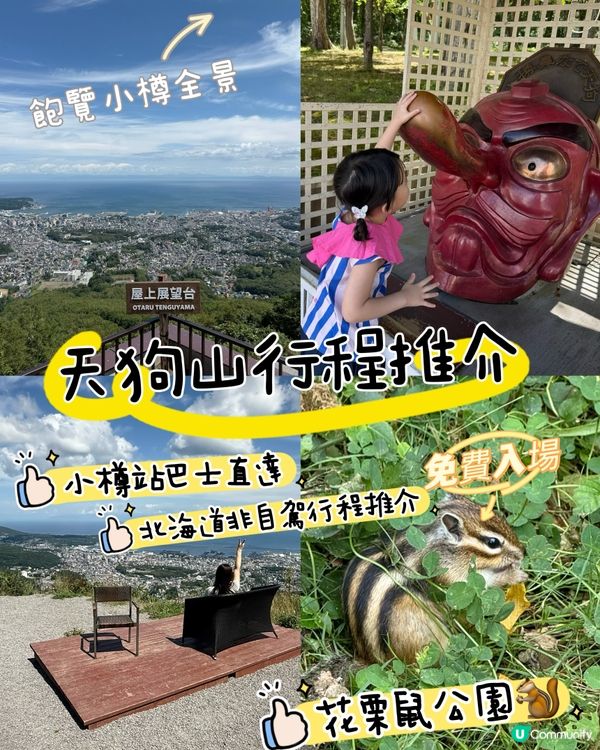 【小樽天狗山半天遊】山上大量免費景點！小朋友最愛花栗鼠公園