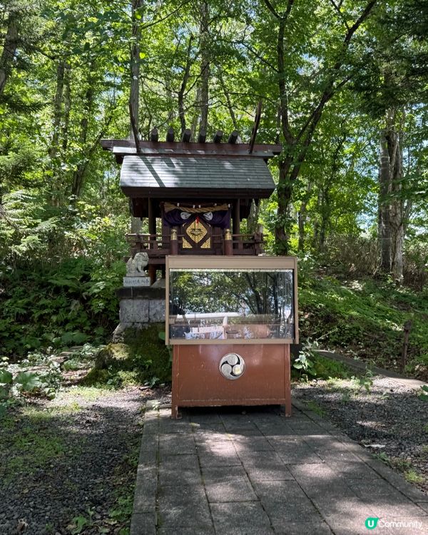 【小樽天狗山半天遊】山上大量免費景點！小朋友最愛花栗鼠公園