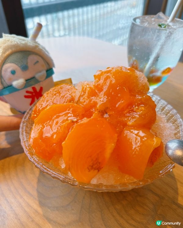 昭和喫茶穿越之旅！🦀蛋包飯超正！😋