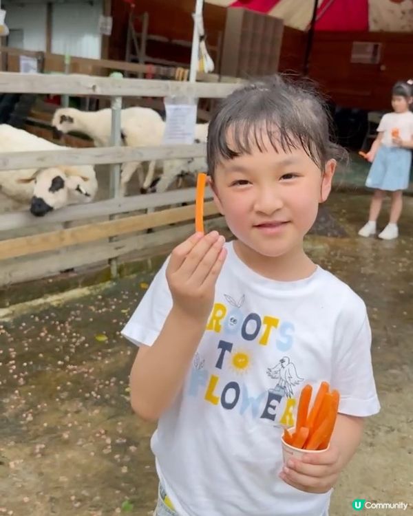 童話般的農場😍