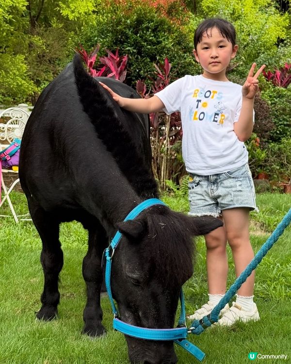 童話般的農場😍