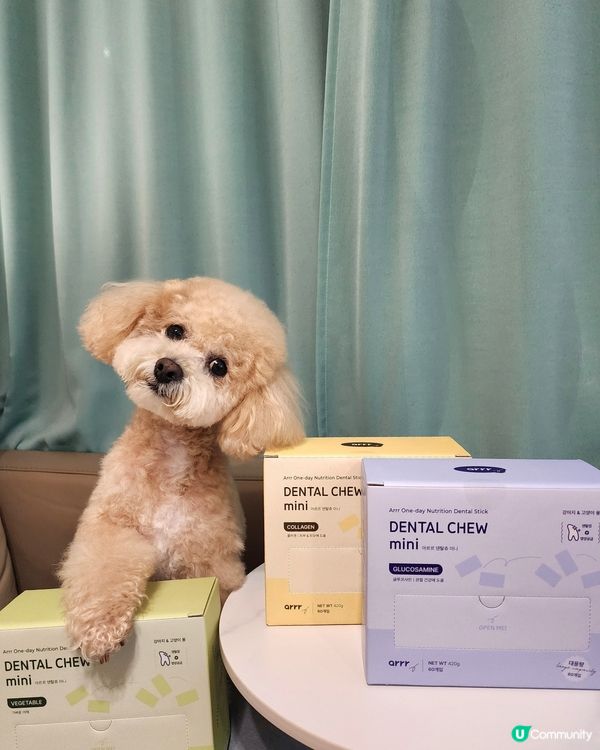 狗狗營養潔牙棒